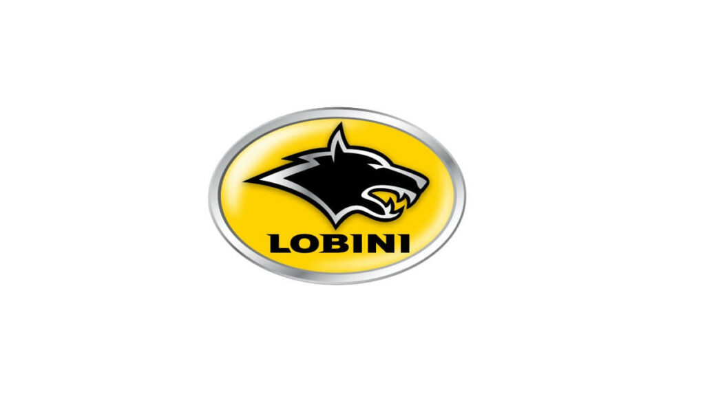 LOBINI tabela fipe