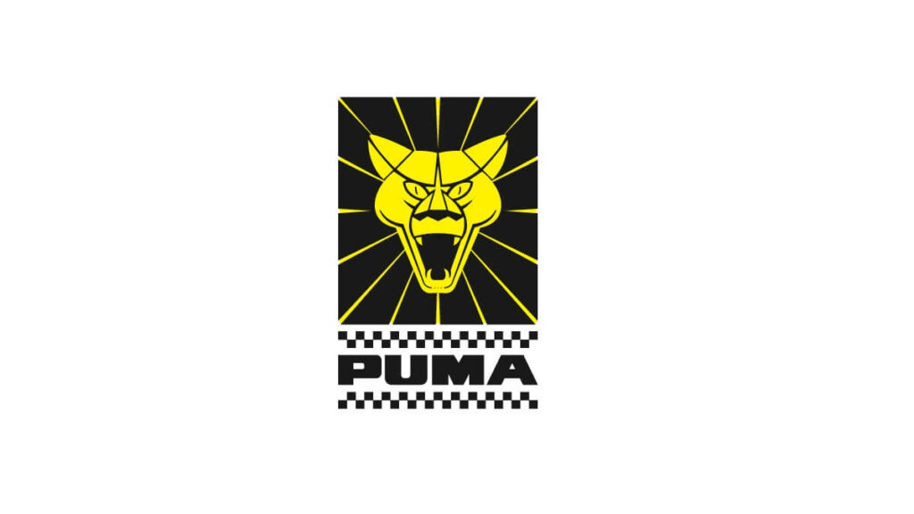 Puma tabela fipe
