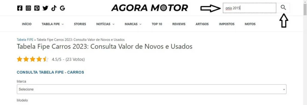 Consulta no box de pesquisa
