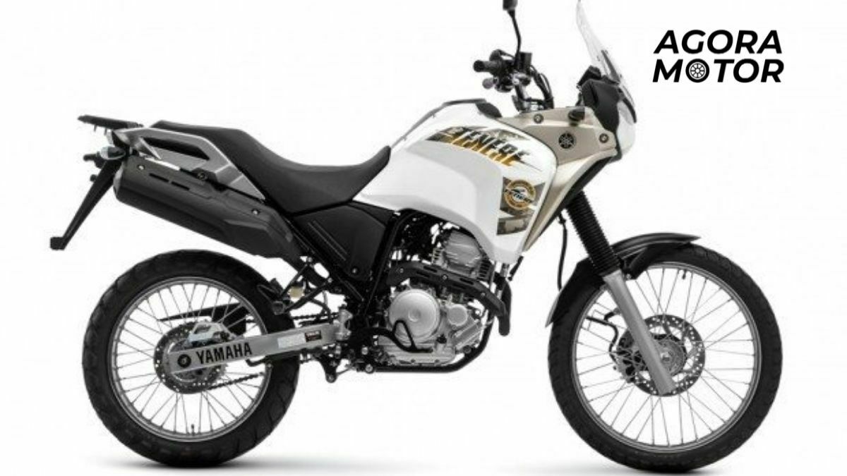 XTZ 250 Tenere 2016 Tabela FIPE: Preço, Valor em Maio de 2026 - Agora Motor