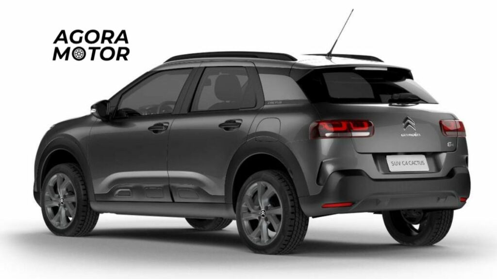 Foto de um c4 cactus 2020