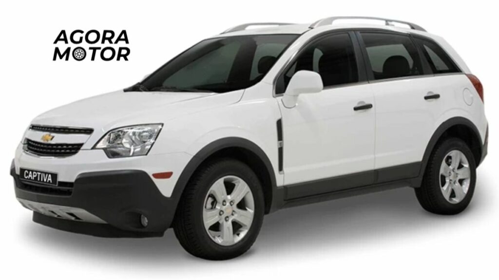 foto de uma captiva 2013