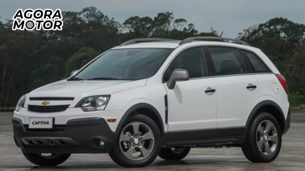 Foto de uma captiva 2016