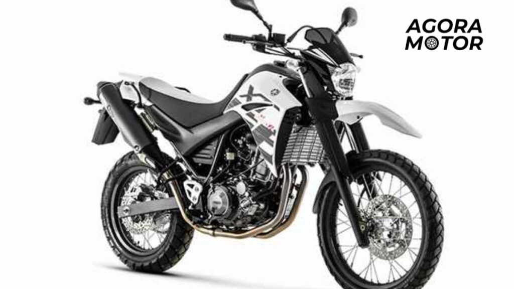 Foto de uma XT 660 2016 prata