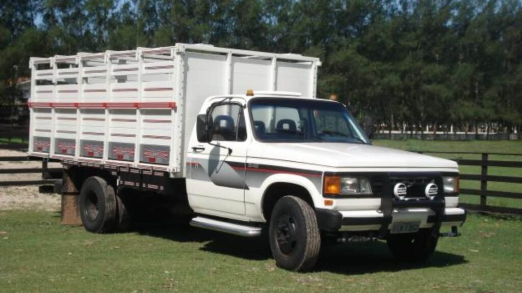 Chevrolet D-40 1988 branco em gramado.