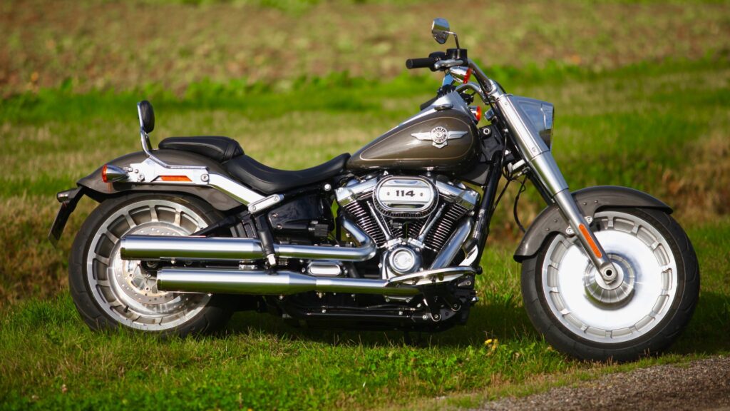 Harley-Davidson Fat Boy 1999 parada na grama